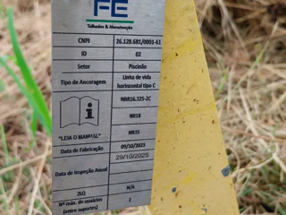 Revalida&ccedil;&atilde;o de Linha de Vida